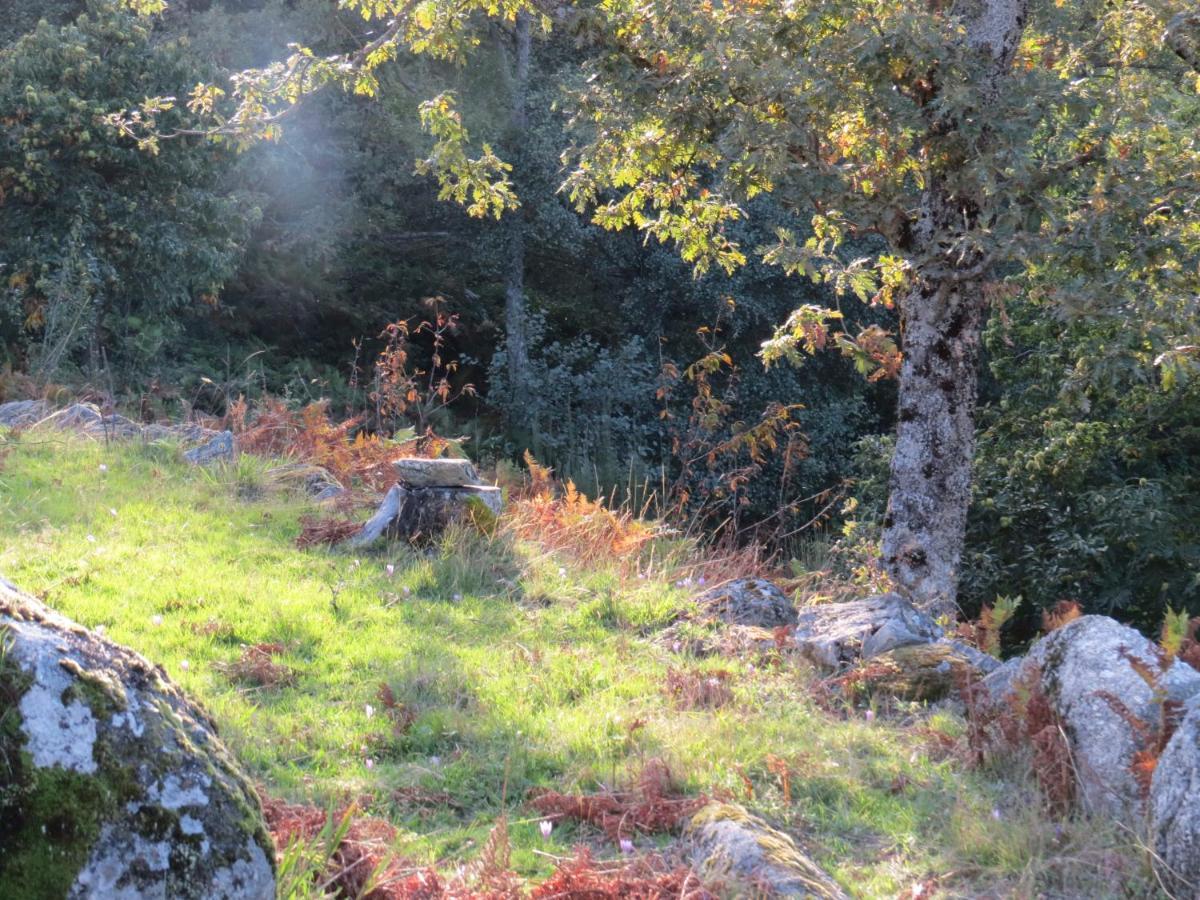 Comfortable Rural Cottage In Ancient Village In The Douro Region Viseu Εξωτερικό φωτογραφία
